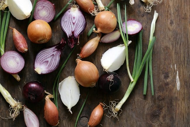 onions_resize